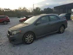 Toyota salvage cars for sale: 2010 Toyota Corolla Base