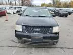 2007 Ford Freestyle SEL