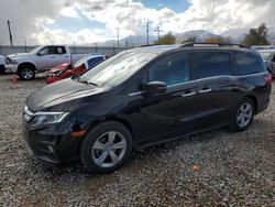 Honda salvage cars for sale: 2019 Honda Odyssey EXL