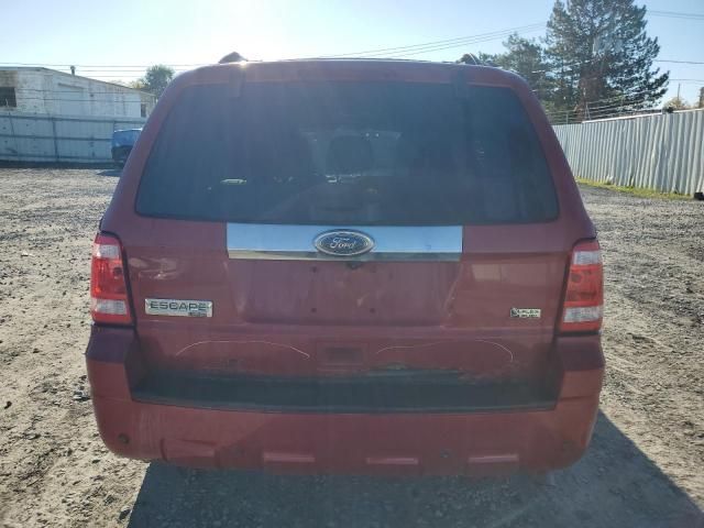 2011 Ford Escape Limited