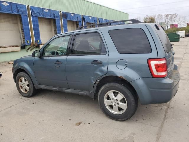 2011 Ford Escape XLT