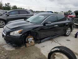 Salvage cars for sale at Lawrenceburg, KY auction: 2014 Nissan Maxima S