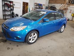 Ford salvage cars for sale: 2014 Ford Focus SE