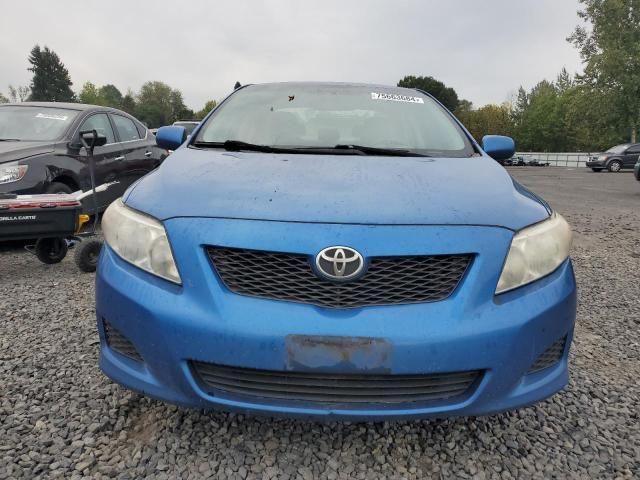 2009 Toyota Corolla Base