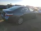 2008 Toyota Camry Hybrid