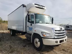 Salvage trucks for sale at Dyer, IN auction: 2016 Hino 258 268