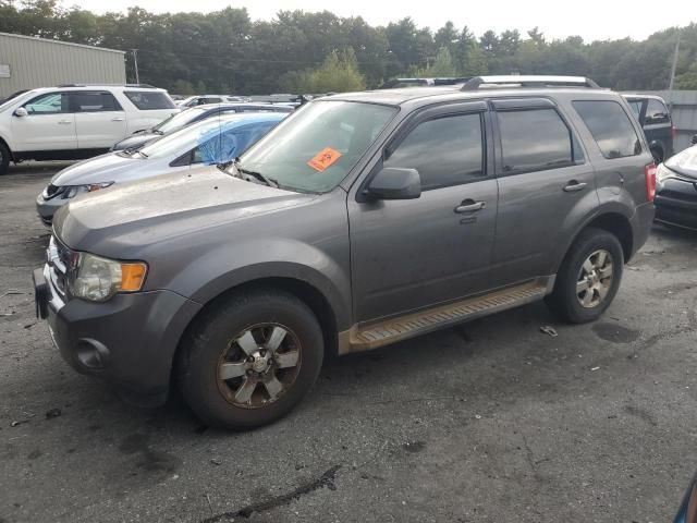 2011 Ford Escape Limited