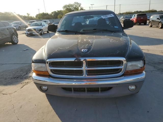 2000 Dodge Dakota