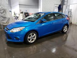 Salvage cars for sale at Ham Lake, MN auction: 2013 Ford Focus SE