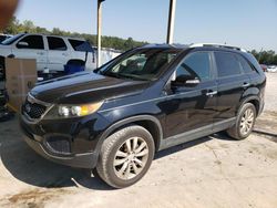 KIA Sorento salvage cars for sale: 2011 KIA Sorento Base