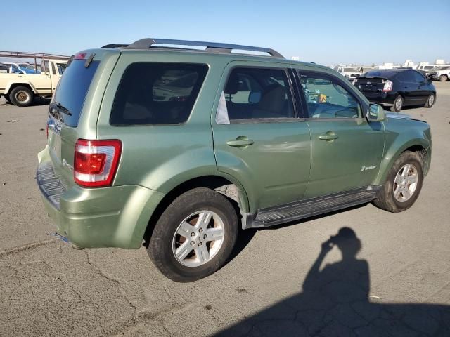 2009 Ford Escape Hybrid