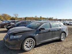 Salvage Cars with No Bids Yet For Sale at auction: 2013 Ford Taurus SE