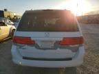 2008 Honda Odyssey EXL