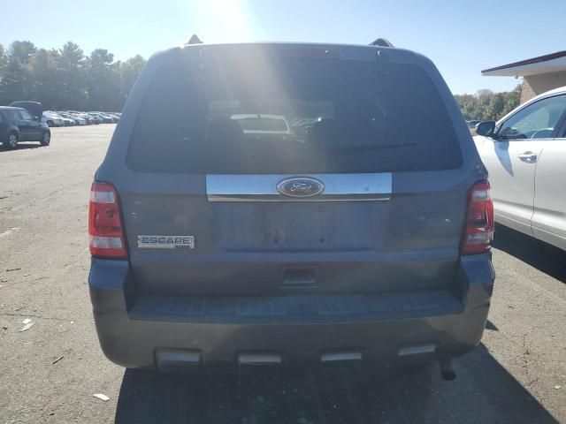 2011 Ford Escape Limited