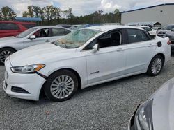 Vehiculos salvage en venta de Copart Spartanburg, SC: 2013 Ford Fusion SE Hybrid