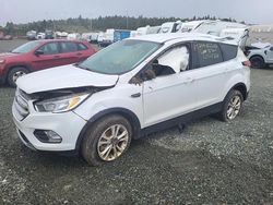 Salvage cars for sale at Elmsdale, NS auction: 2019 Ford Escape SE