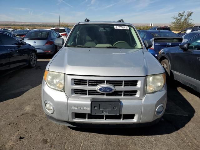 2010 Ford Escape Hybrid