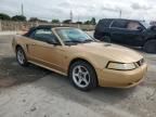 2000 Ford Mustang GT