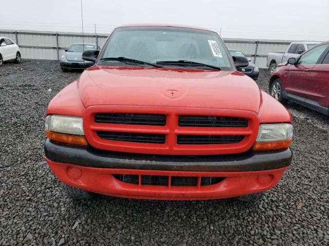 1998 Dodge Dakota