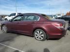 2009 Honda Accord EX