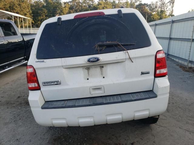 2011 Ford Escape XLT