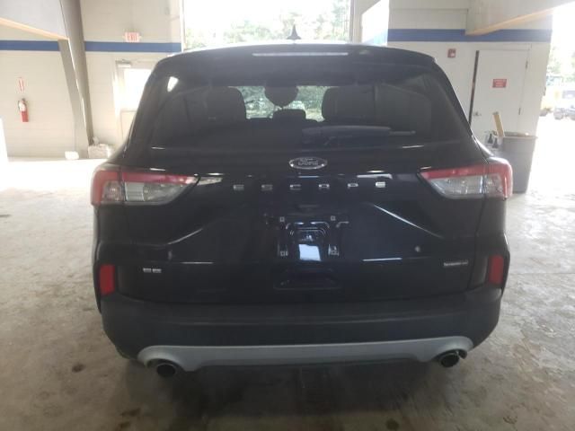 2020 Ford Escape SE Sport