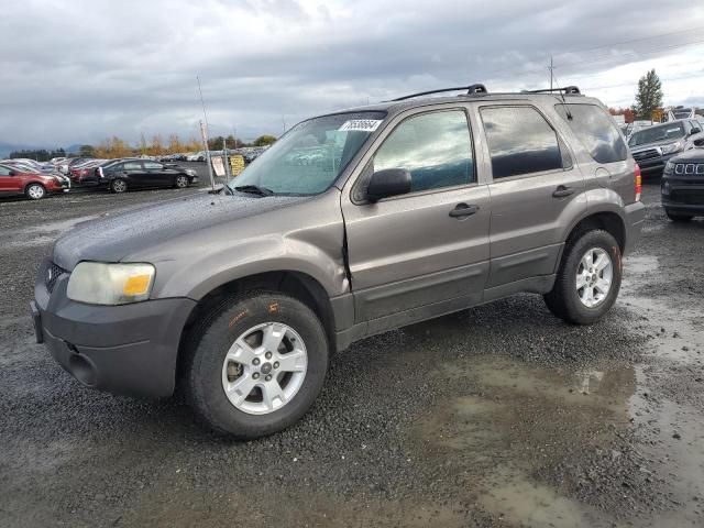 2006 Ford Escape XLT