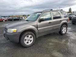 Carros salvage sin ofertas aún a la venta en subasta: 2006 Ford Escape XLT