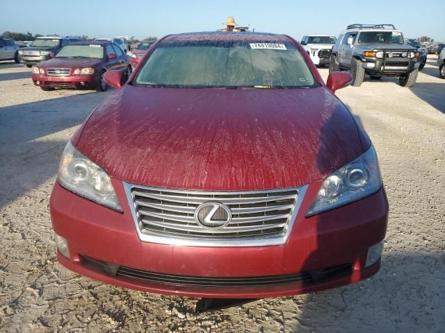 2010 Lexus ES 350