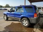 2006 Ford Escape XLT