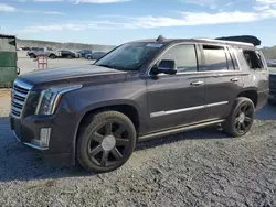 2017 Cadillac Escalade Platinum en venta en China Grove, NC