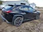 2020 Lexus UX 250H