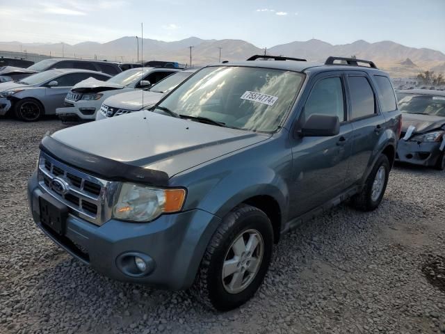 2010 Ford Escape XLT