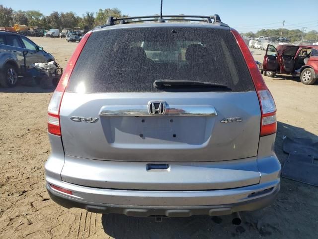 2010 Honda CR-V EXL