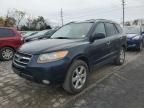 2007 Hyundai Santa FE SE