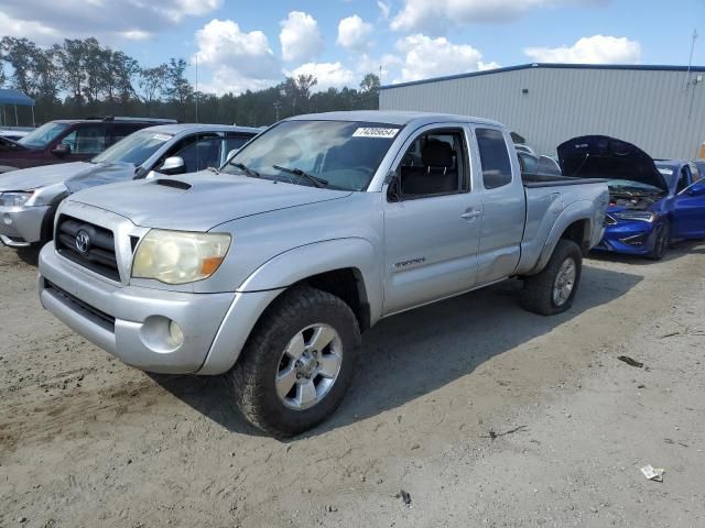 2005 Toyota Tacoma Prerunner Access Cab