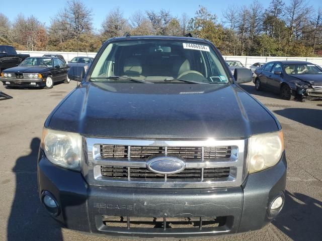 2008 Ford Escape XLT