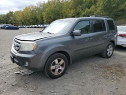 Honda salvage cars for sale: 2009 Honda Pilot EXL