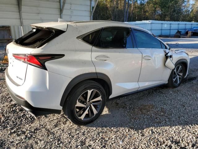 2019 Lexus NX 300 Base