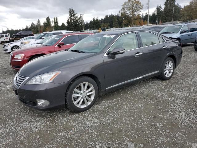 2011 Lexus ES 350