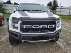 2019 Ford F150 Raptor