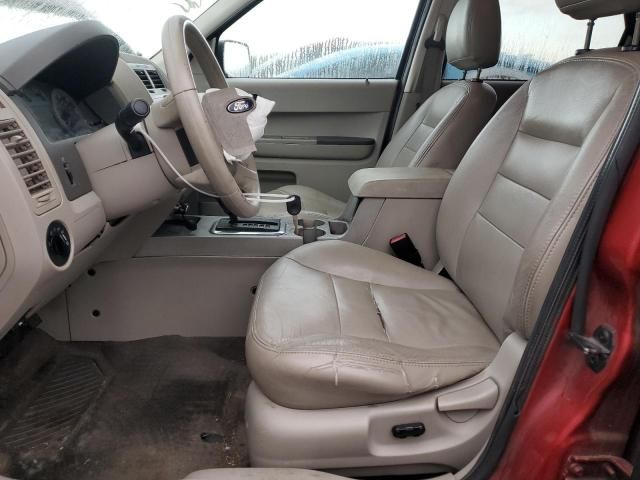 2008 Ford Escape XLT