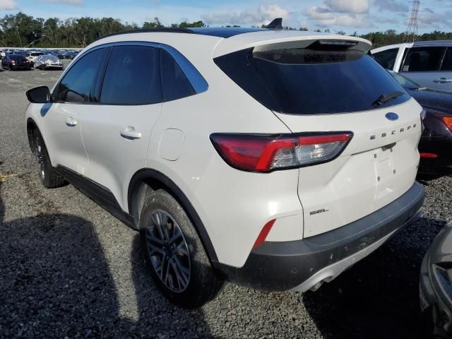 2022 Ford Escape SEL