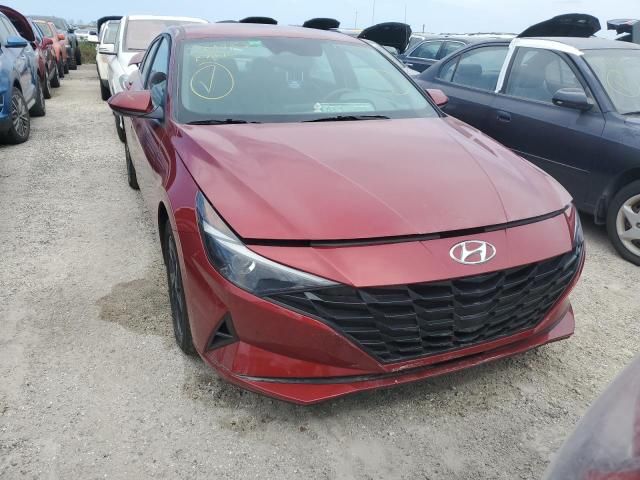 2023 Hyundai Elantra Blue