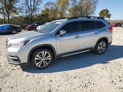 Salvage cars for sale at Cicero, IN auction: 2019 Subaru Ascent Limited