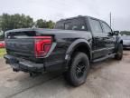 2024 Ford F150 Raptor