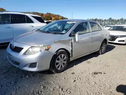 Toyota Vehiculos salvage en venta: 2009 Toyota Corolla Base