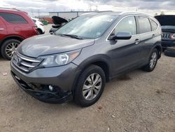 Salvage cars for sale at Elgin, IL auction: 2014 Honda CR-V EXL