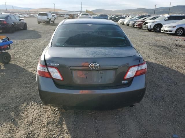 2008 Toyota Camry Hybrid