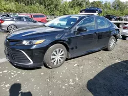 Carros salvage a la venta en subasta: 2023 Toyota Camry LE